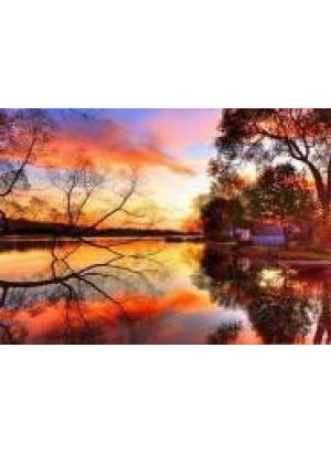 GLD60829 - GB71915_O Алмазна мозаїка 30*40см 