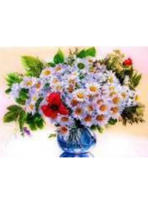 GLD60832 - GB71951_O Алмазна мозаїка 30*40см 