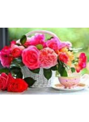 GLD60491 - GB72375_O Алмазна мозаїка 30*40см 