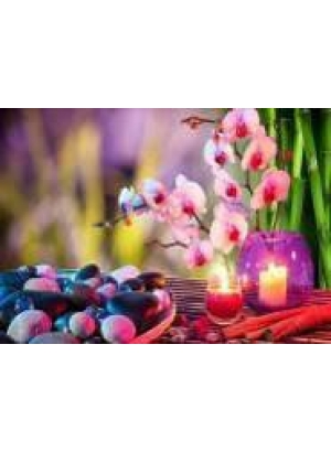 GLD60509 - GB72687_O Алмазна мозаїка 30*40см 