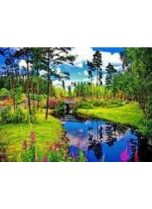 GLD60861 - GB73088_O Алмазна мозаїка 30*40см 