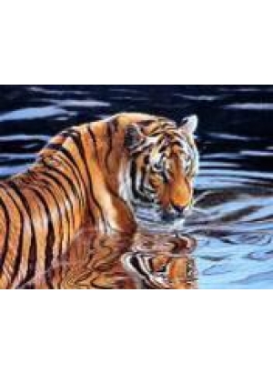 GLD60867 - GB73352_O Алмазна мозаїка 30*40см 