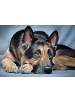 GLD60528 - GB73420_O Алмазна мозаїка 30*40см 