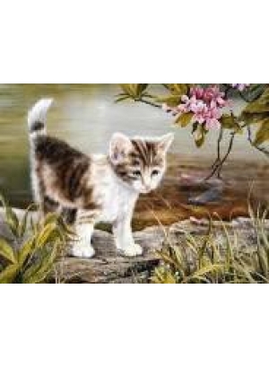 GLD60876 - GB73434_O Алмазна мозаїка 30*40см 