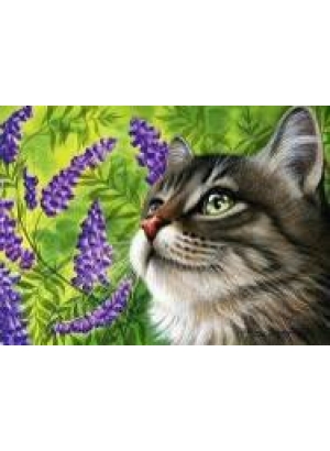 GLD60879 - GB73456_O Алмазна мозаїка 30*40см 