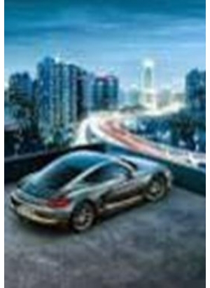 GLD62201 - GB70411_O Алмазна мозаїка 30*40см 