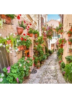 GLE71227_B Алмазна мозаїка за номерами 40*50 