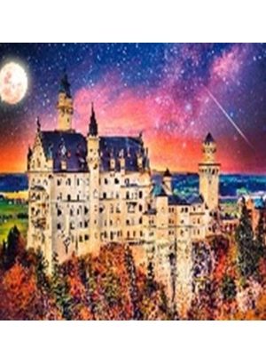 GLE71269_B Алмазна мозаїка за номерами 40*50 