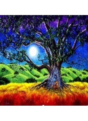 GLE71579_B Алмазна мозаїка за номерами 40*50 