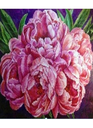 GLE71591_B Алмазна мозаїка за номерами 40*50 