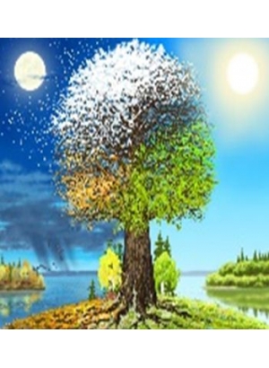 GLE71603_B Алмазна мозаїка за номерами 40*50 