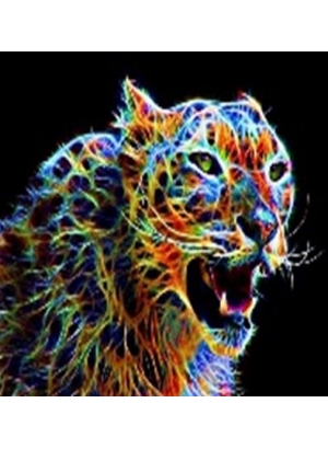 GLE71652_B Алмазна мозаїка за номерами 40*50 