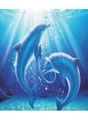 GLE71692_B Алмазна мозаїка за номерами 40*50 