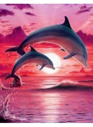 GLE71710_B Алмазна мозаїка за номерами 40*50 