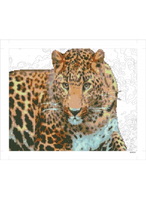 9D90558 Картина по номерам + Діамант 9D 40*50 