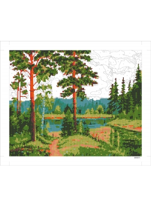 9D90574 Картина по номерам + Діамант 9D 40*50  