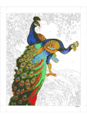 9D90555 Картина по номерам + Діамант 9D 40*50 