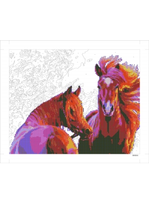 9D90564 Картина по номерам + Діамант 9D 40*50 