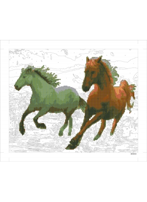 9D90565 Картина по номерам + Діамант 9D 40*50 