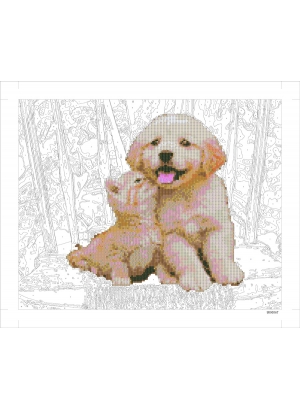 9D90567 Картина по номерам + Діамант 9D 40*50 