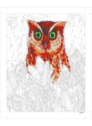 9D90577 Картина по номерам + Діамант 9D 40*50 